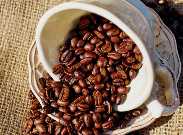 Coffee Culture: Discover the Art Behind Every Cup